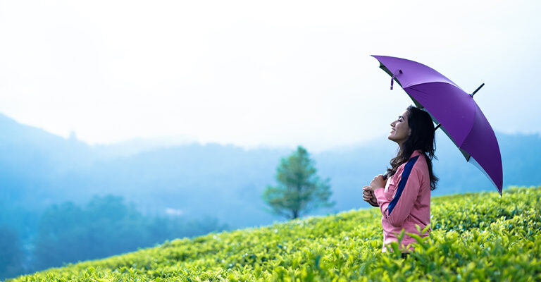 EXPLORE THE UNEXPLORED GEMS OF MUNNAR